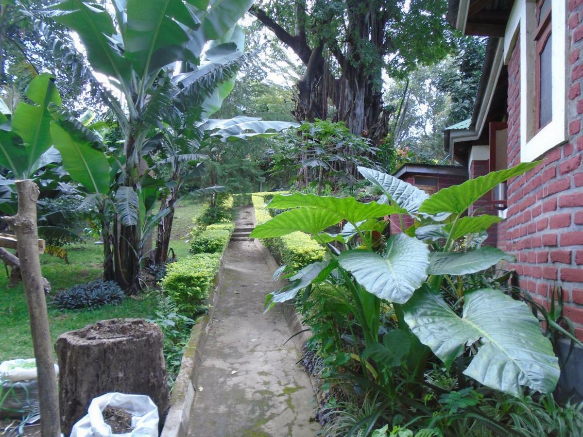 Themi Valley Eco And Cultural Tourism Homestay أروشا المظهر الخارجي الصورة